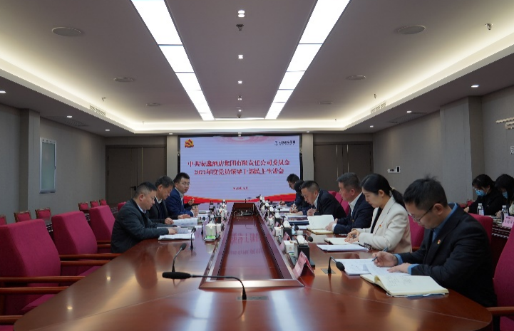 尊龙凯时集团党委书记、董事长任丁出席安逸酒店集团2022年度党员领导干部民主生活会